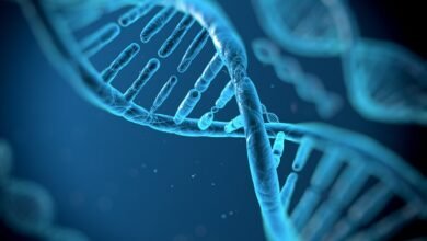 71 letnij muzhchina usynovlennyj v detstve vstretil svoih biologicheskih sester 5d94afd49831c