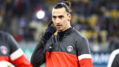 agent rasskazal o budushhem ibragimovicha 5d9512a5dc34c