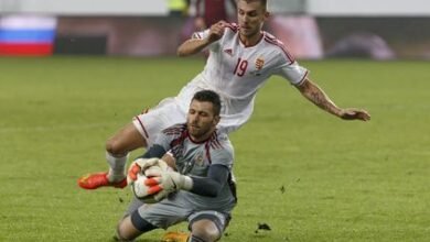 chto dumaet aleksandr ryazanczev o chempionate euro 2016 5d9513e719f32