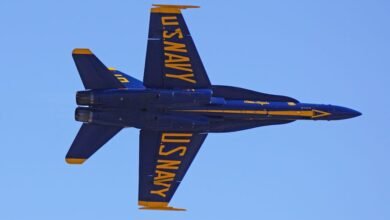 effektivnaya zachistka amerikanskij bespilotnik unichtozhil 5 terroristov 5d94c03299fa6