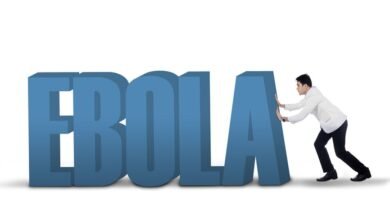 evrope virus ebola ne ugrozhaet 5d94cfc83726d