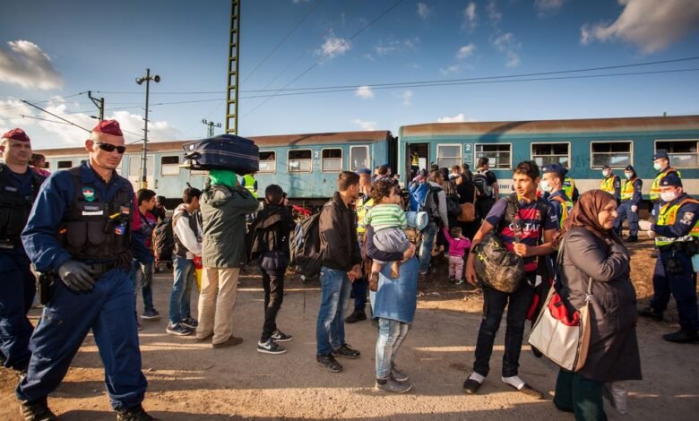 Французское население против открытия миграционных дверей 1 franczuzskoe naselenie protiv otkrytiya migraczionnyh dverej 5d94bae9137cf