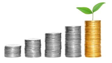 gazprombank predlagaet knr sozdat investiczionnyj fond v podderzhku apk 5d94bc0408e3d