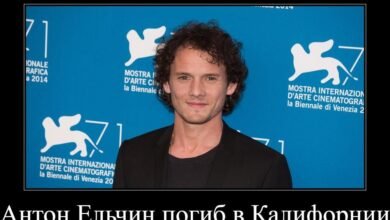 gollivudskij akter iz rossii anton elchin pogib v kalifornii 5d9608a06da8a