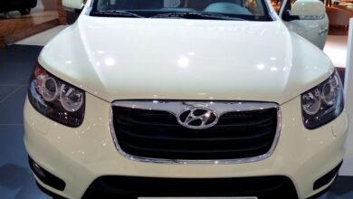 hyundai santa fe prodazhi nachalis 5d94be0855d61