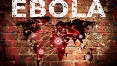 inficzirovannaya virusom ebola britanka dostavlena v london 5d94bfd1212f2