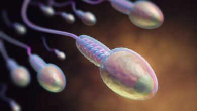 issledovateli proverili elektricheskij stimulyator spermatozoidov 5d94cec6240a5