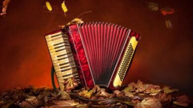 istoriya muzykalnogo instrumenta akkordeon 5d94b210ed219