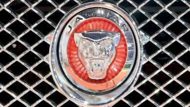 jaguar rasskazala o date prezentaczii f type svr 5d94bb4011d00