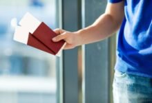Как я могу спонсировать моего племянника в США? 10 kak ya mogu sponsirovat moego plemyannika v ssha 5d94ac6c851bc