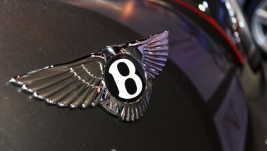 krossover bentley prohodit poslednie etapy ispytanij 5d94bd6ac0dd0