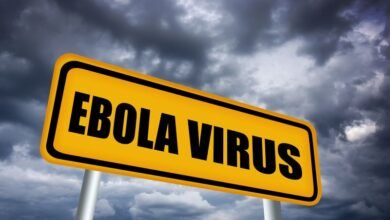 lihoradka ebola pereneslas v ssha 5d94c1ae03f21