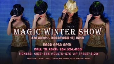 magic winter show v majami prazdnuem hanukkah christmas new year 5d94b952f1de3