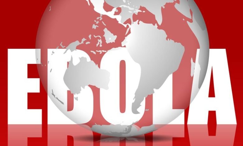 Мир победит смертельную лихорадку Эбола в 2015 году! 1 mir pobedit smertelnuyu lihoradku ebola v 2015 godu 5d94d0742245d