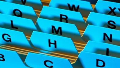 Могу ли я проверить свой иммиграционный статус по номеру иностранца? 10 mogu li ya proverit svoj immigraczionnyj status po nomeru inostrancza 5d94ab16547f8
