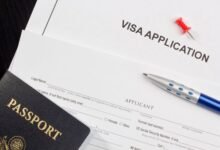 mozhet li vladelecz vizy k1 podat zayavku na korrektirovku statusa 5d94abe5a3e02