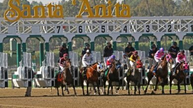 na ippodrome santa anita loshad umershhvlena posle sereznoj travmy 5d94ae4bb0f23
