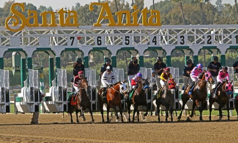 На ипподроме Санта-Анита лошадь умерщвлена после серьезной травмы 1 na ippodrome santa anita loshad umershhvlena posle sereznoj travmy 5d94ae4bb0f23