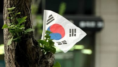 na korejskom poluostrove startovali amerikansko yuzhnokorejskie ucheniya 5d94bea3525f5