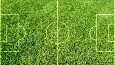polyaki delayut sensancziyu v varshave igraya v futbol 5d9514725f1f2