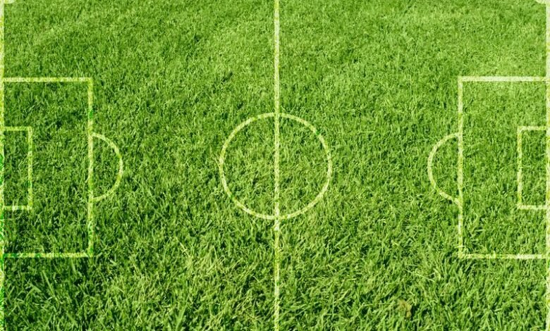Поляки делают сенсанцию в Варшаве, играя в футбол 1 polyaki delayut sensancziyu v varshave igraya v futbol 5d9514725f1f2