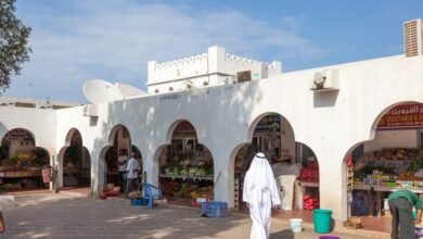 rossijsko arabskie perspektivy sovmestnogo sotrudnichestva 5d94bcc7a0b2d