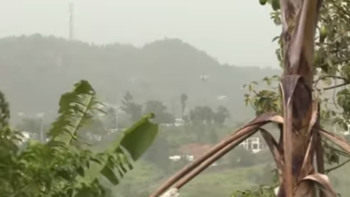 screenshot 1 12