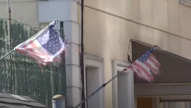 screenshot 13 1