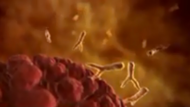 screenshot 32
