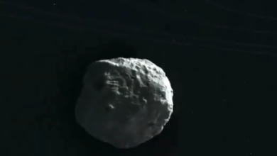 screenshot 6 2
