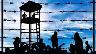 sereznye izmeneniya v politike ssha nachalis s priezda odnogo migranta v meksiku 5d94ae64ecbb7