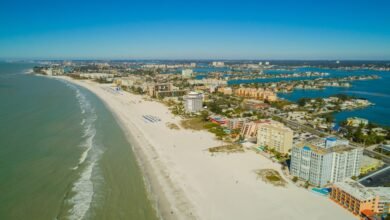 udivitelnye fakty o floride 5d94afa0352b9