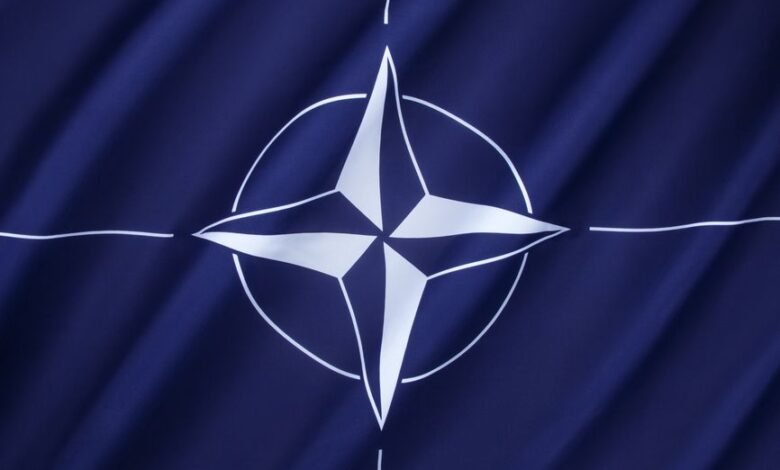 В Литве начались учения сил НАТО 1 v litve nachalis ucheniya sil nato 5d94c10f3b43b