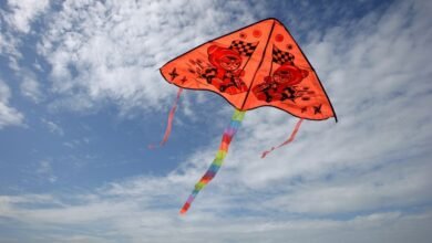 v yaponii muzhchina skonchalsya ot padeniya gigantskogo vozdushnogo zmeya 5d94bd2a90ae5