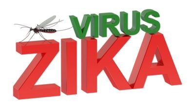 virus zika obnaruzhen na territorii maldiv i tailanda 5d94bb803cf46
