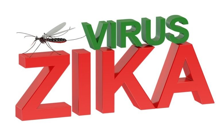 Вирус Зика обнаружен на территории Мальдив и Таиланда 1 virus zika obnaruzhen na territorii maldiv i tailanda 5d94bb803cf46
