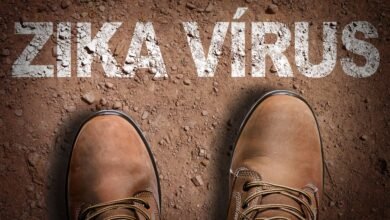 vlasti dominikanskoj respubliki prigotovilis k epidemii virusa zika 5d94bbca39f14