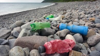yavlyayutsya li mikroplastik v produktah pitaniya ugrozoj dlya vashego zdorovya 5d94a66ca690d