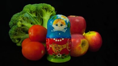zamestit importnye produkty rossii ne poluchitsya 5d94b8ef5bb57