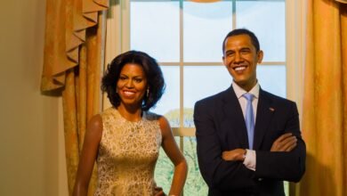zhenshhina kotoraya nazvala mishel obamu obezyanoj obmanula fema na 18 000 5d94b0ddb532f