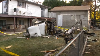 screenshot 5 22