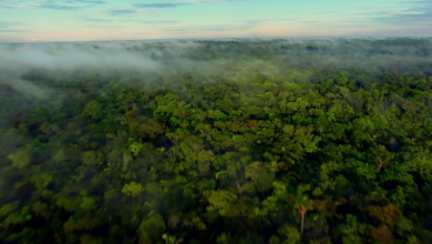 screenshot 1 17