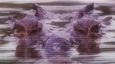 screenshot 2 5