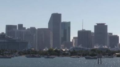 screenshot 3 6
