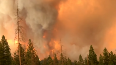 screenshot 1 12