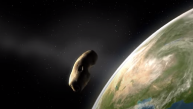 screenshot 3 19