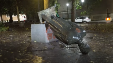 screenshot 1 11