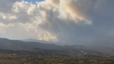 screenshot 1 17