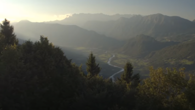 screenshot 1 20