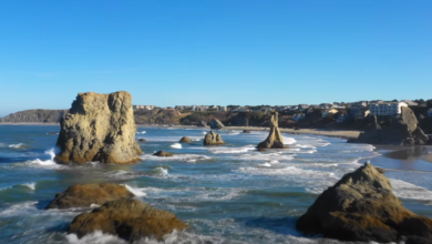 screenshot 1 4
